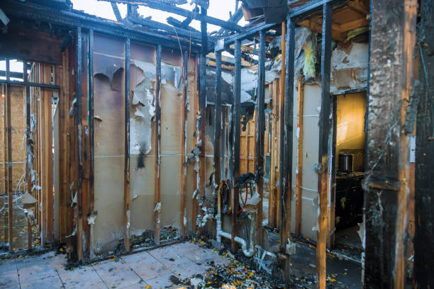 Professional Fire Damage Removal technician working in Westmere, NY